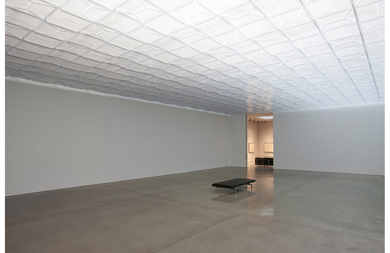 Jim Isermann Vacuum-Formed Drop Ceiling - View 5